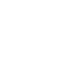 mortarboard
